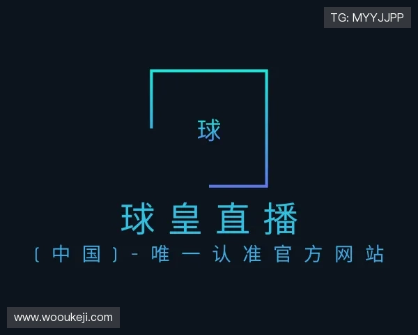 了解球皇官网